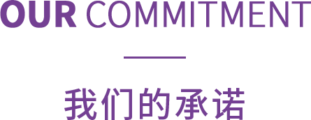 我们的承诺